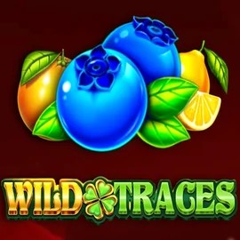 Slots logo of Wild Traces from Amusnet Interactive at Spinbara Casino